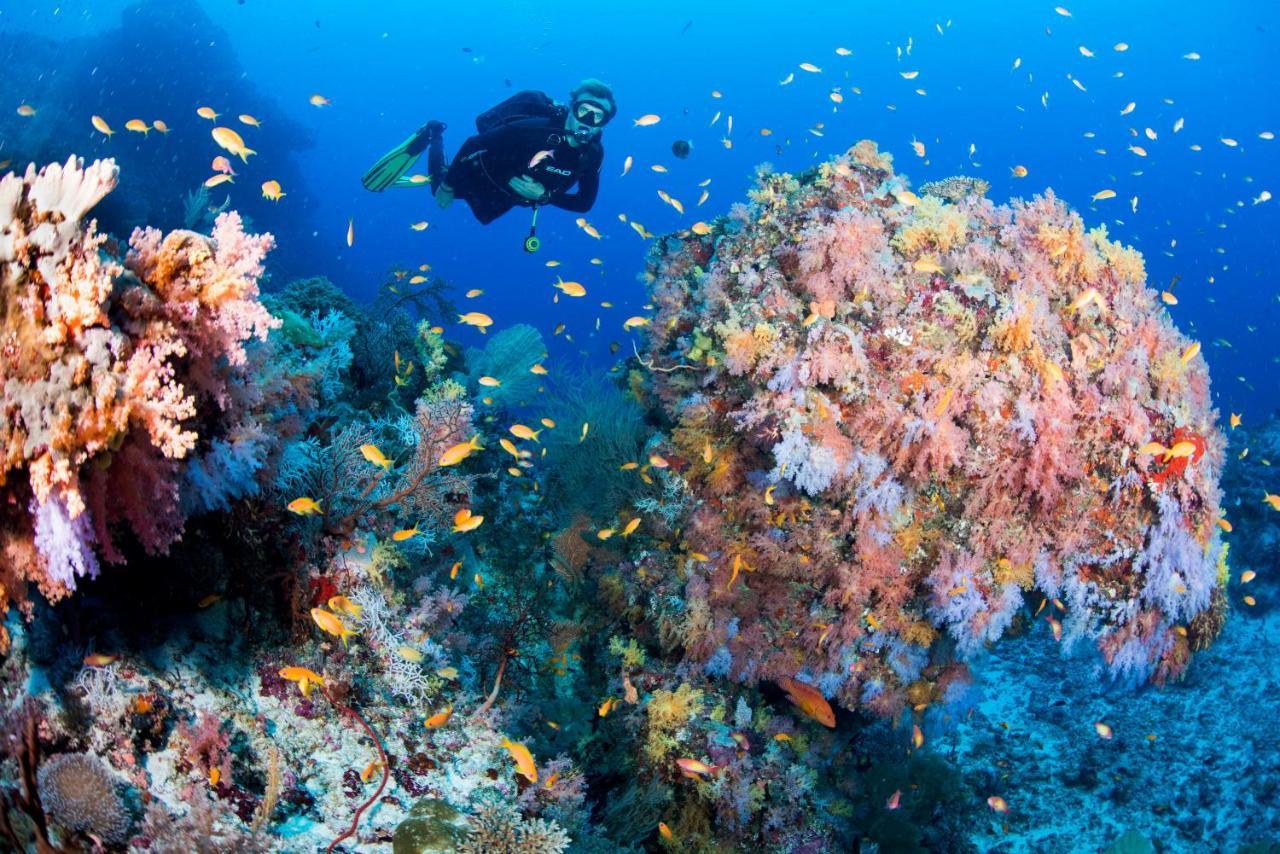Sandies Bathala Bathala Island Zewnętrze zdjęcie